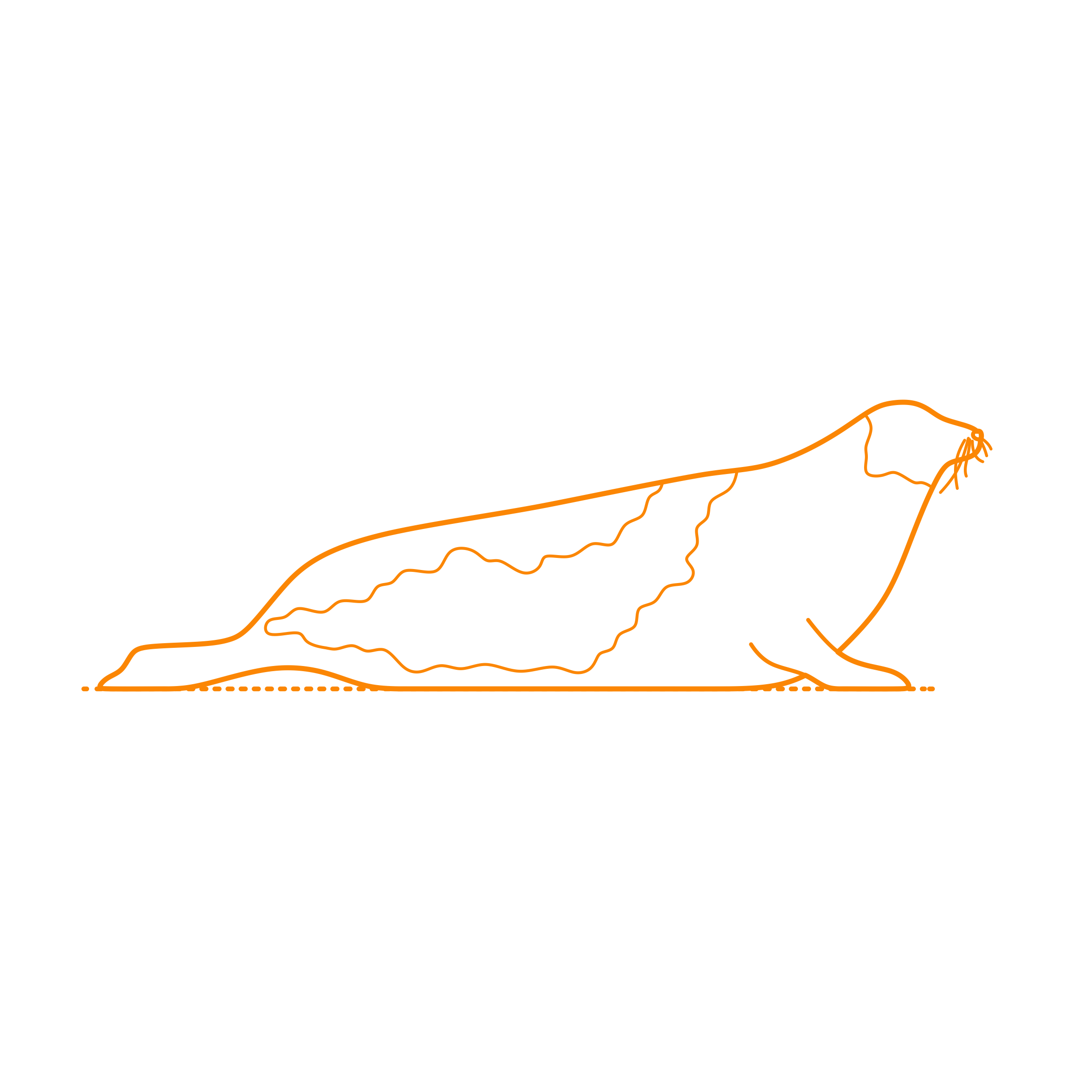 Animals Seals Harp Seal Sketch Drawing Svg Free Vectors